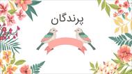 پاورپوینت درباره پرندگان