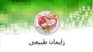 پاورپوینت درباره زایمان طبیعی