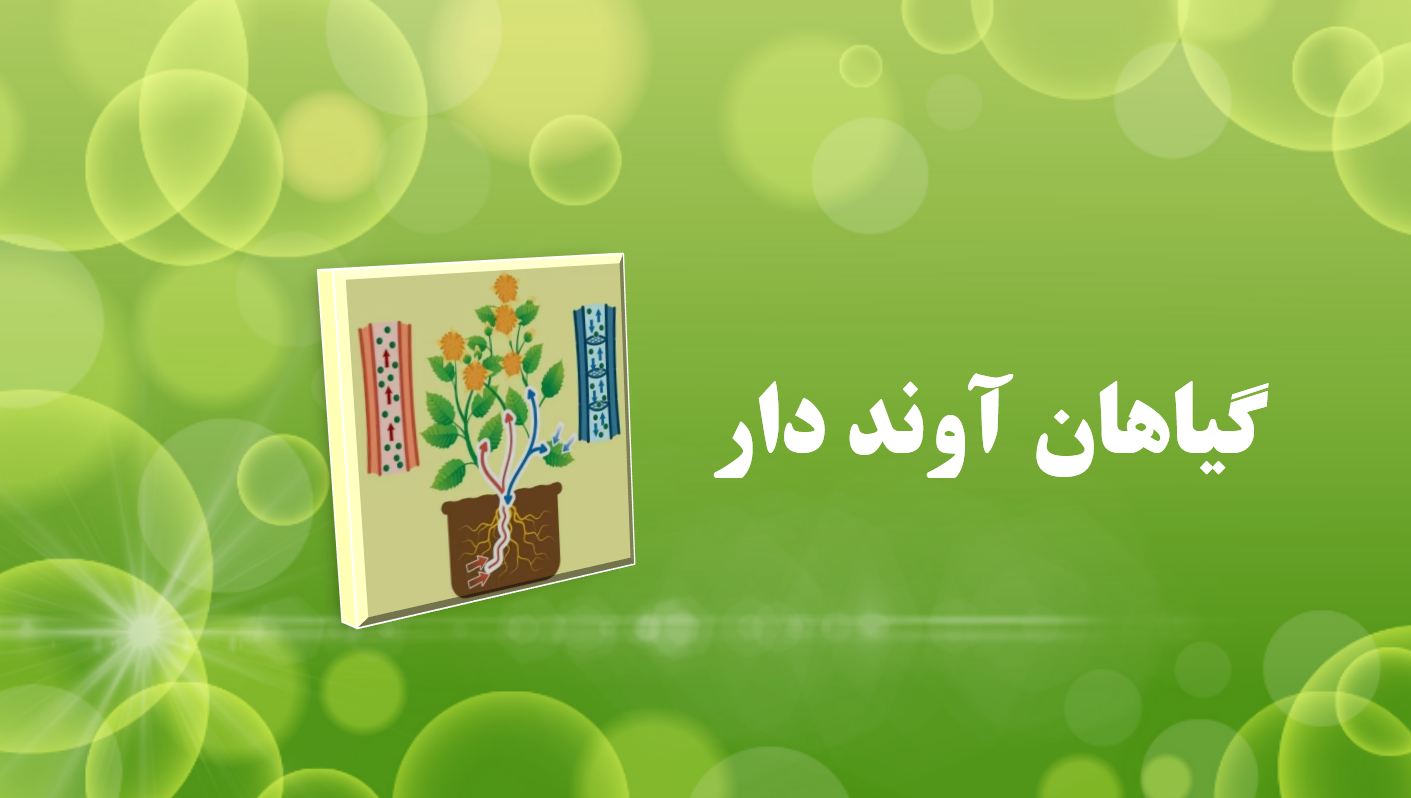 پاورپوینت گیاهان آونددار